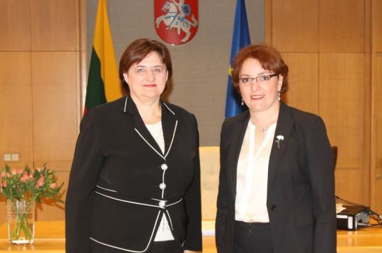 В Вильнюсе министр обороны Грузии выслушивала советы, как вступить в НАТО