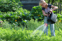 Воспитывать школьников трудом пока не будут