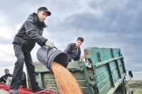 Старые песни о главном