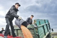 Старые песни о главном