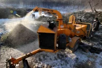 Где взять 150 миллиардов на переработку отходов
