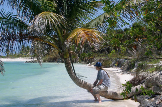 За форс-мажор на курортах стоимость путёвок возмещать не будут