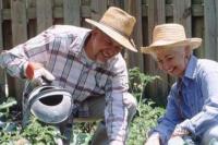 С чем столкнутся дачники в новом сезоне?