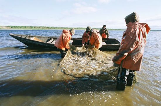 Чтобы весла сушить не пришлось