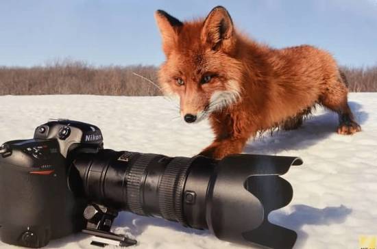 Достойное отражение России