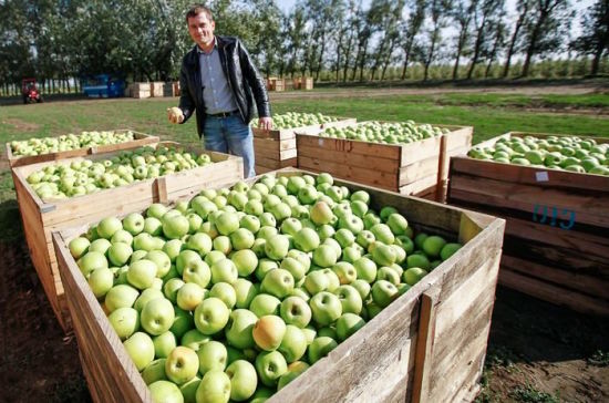 Не упустить шанс!