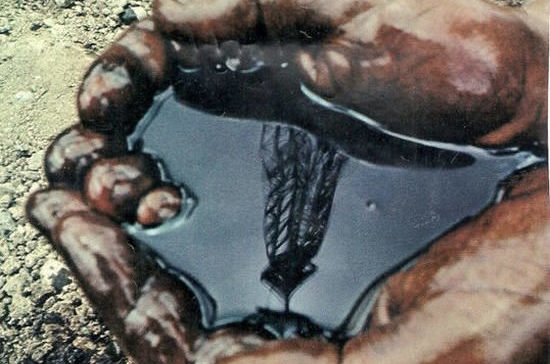 Хватит гадать на нефтяной гуще!