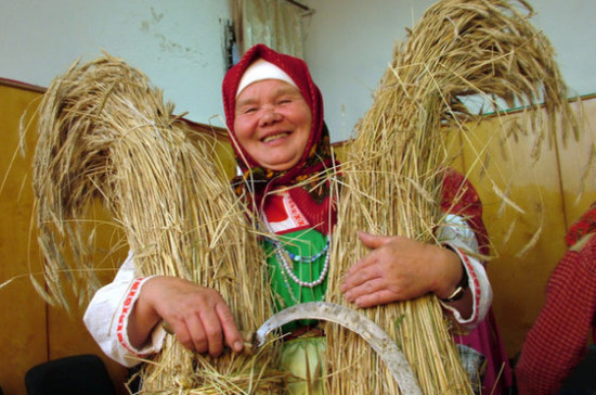 Как плохая погода и дожди повлияют на урожай?