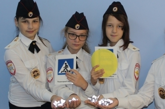 В Мурманской области полицейские, юидовцы и Светофор рассказали дошколятам о безопасности на дорогах