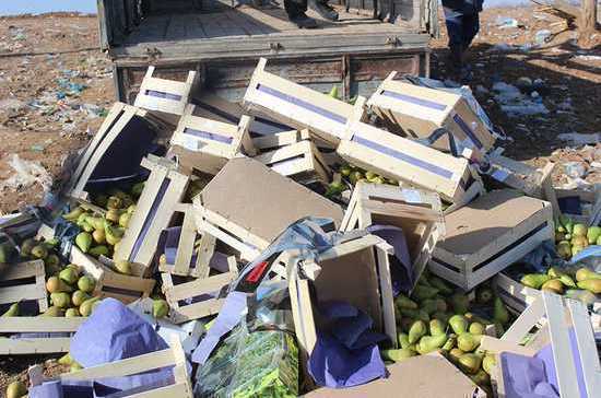 Астраханские пограничники задержали фуру с санкционными грушами и зеленью из Евросоюза