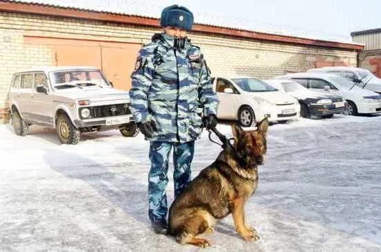 В Приморском крае полицейские со служебной собакой раскрыли кражу сейфа с оружием