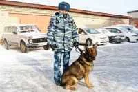 В Приморском крае полицейские со служебной собакой раскрыли кражу сейфа с оружием