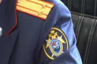 Челябинский чиновник-ветеринар брал взятку бессрочным пользованием  BMW