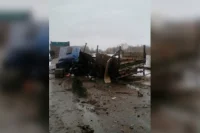 СК устанавливает причины смертельного ДТП с автобусом и грузовиком в Томской области