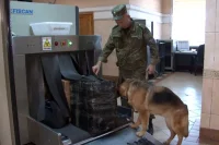 Таможенники аэропорта Владивостока задержали багаж с желчью медведя