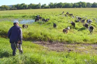 В сёлах появился институт старост