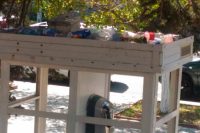 Севастопольцы пожаловались на проблемы с вывозом мусора