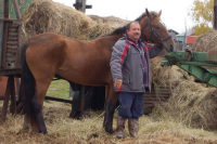 Камчатский депутат приехал на заседание Заксобрания на коне, протестуя против цен на бензин