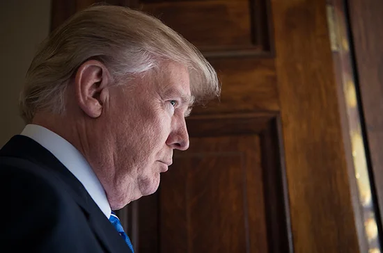Эксперт рассказал, чем демократы могут ответить Трампу на введение ЧП