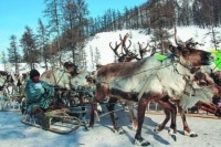 В России могут начать вести учёт представителей коренных малочисленных народов