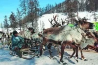 В России могут начать вести учёт представителей коренных малочисленных народов