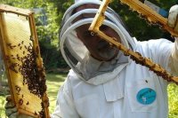 Пчеловоды просят льгот