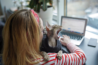 На удалёнку можно перейти и по собственному желанию