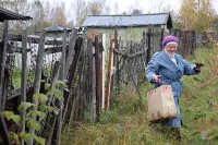 Новые законы для дачников в 2021 году