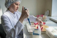 В России за сутки выявили 24 246 случаев заражения COVID-19