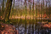 Разведку и добычу полезных ископаемых на болотах предлагают упростить