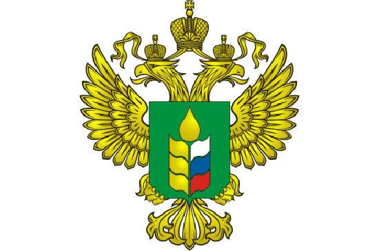 Минсельхоз опубликует информацию о способах производства вина