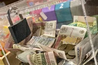 В законопроекте о штрафах за незаконный сбор пожертвований учтут уловки мошенников