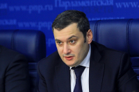 Хинштейн потребовал наказания для полицейского, ударившего женщину в Петербурге