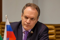 Башкин призвал коллег по ПАСЕ обсуждать реальные проблемы