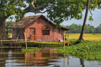 Лесные участки предлагают разрешить использовать для рыбного хозяйства