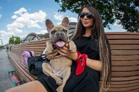 У должников хотят запретить забирать питомцев