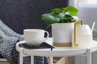 В Курской области продлили обязательную самоизоляцию для пожилых