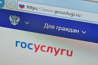 Россияне смогут получить на госуслугах информацию о долгах за три секунды