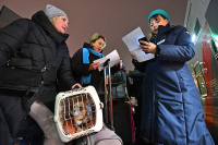 В Роспотребнадзоре рассказали о справке для въезжающих в Россию поездом