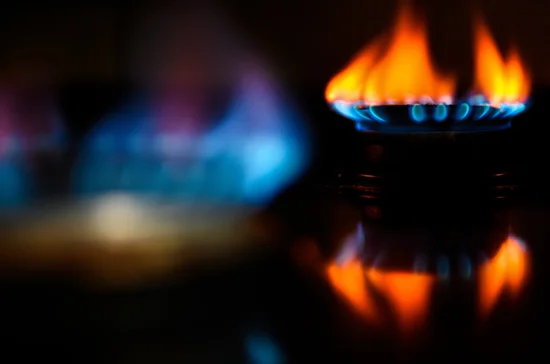 Литовский оператор сообщил о приостановке транзита газа в Калининград