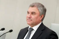 Володин допустил запрет размещения рекламы на иностранных IT-платформах без представительства в РФ 