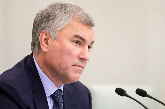 Володин предложил отказать офшорам в господдержке