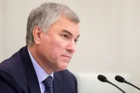 Володин предложил отказать офшорам в господдержке
