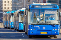 Штрафы за проезд по «выделенке» ночью предложили отменить