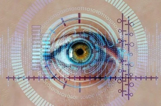 Биометрическую систему могут пополнить данными о гражданстве и дате рождения