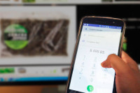 За пропаганду наркотиков в интернете накажут 15 годами тюрьмы