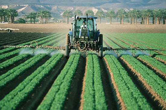 Для российских экопродуктов предложили спецмаркировку