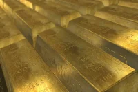 СМИ: в России хотят ввести налог на старательскую деятельность