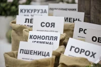 В Госдуму внесли законопроект о реформе семеноводства