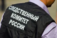 СК возбудил почти 60 дел о фейках про COVID-19 за 2020 год